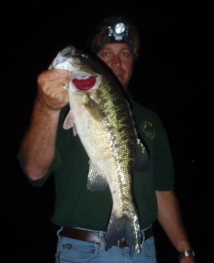 Late Summer Bass Tactics On Jones Bluff - Fishingbama