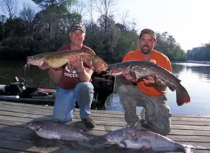 HOW TO MAKE LIMB LINES FOR MONSTER CATFISH! 