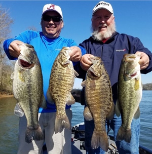 Bass Fishing on Pickwick Lake in May - FishingBama