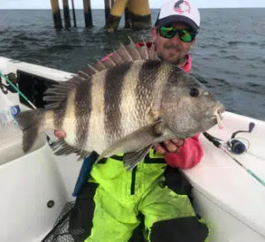 sheepshead fishing