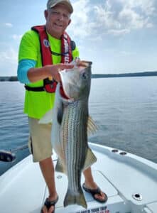 striped bass