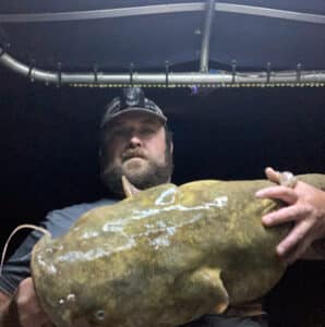 Flathead Catfish